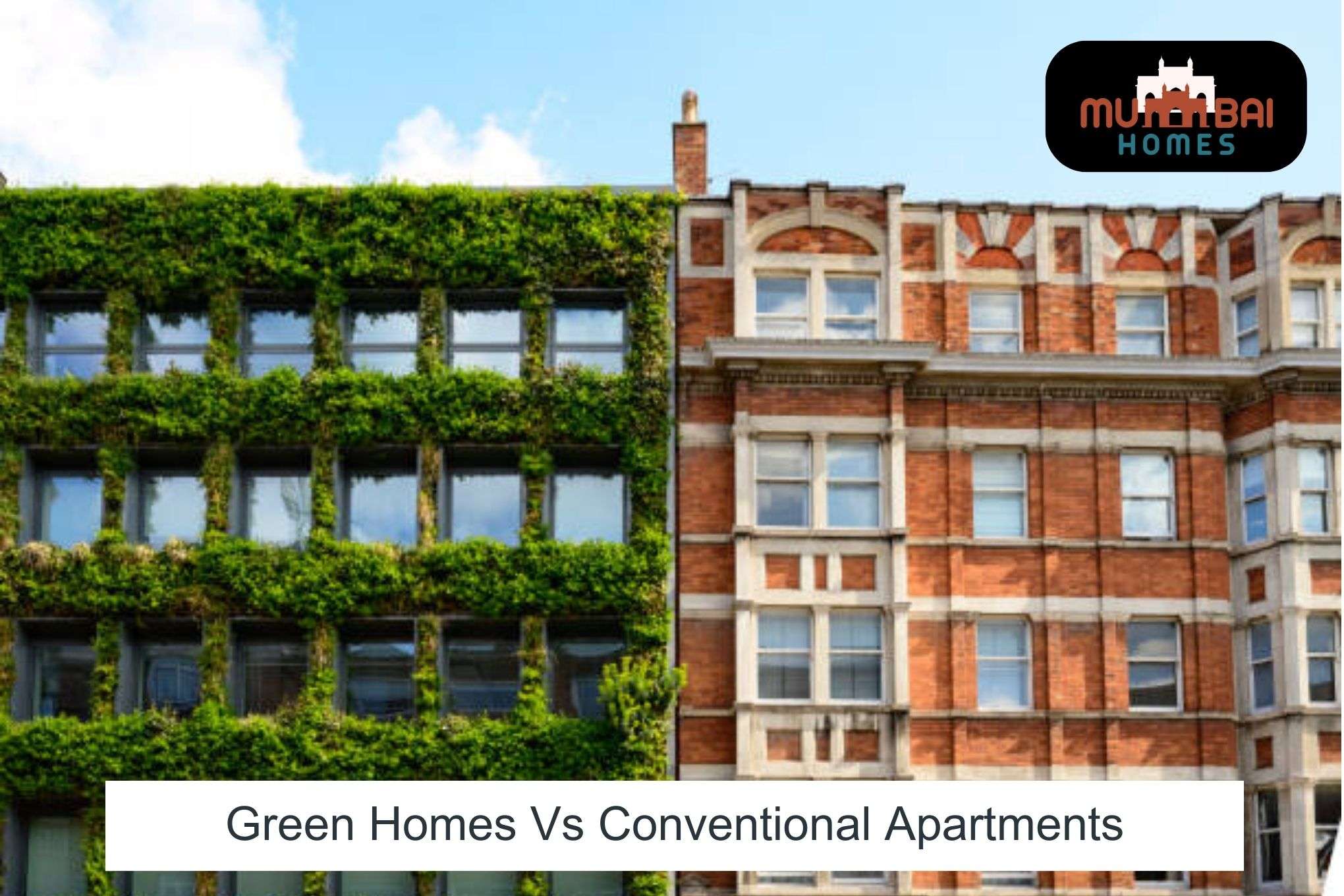 Green Homes Vs Conventional Apartments