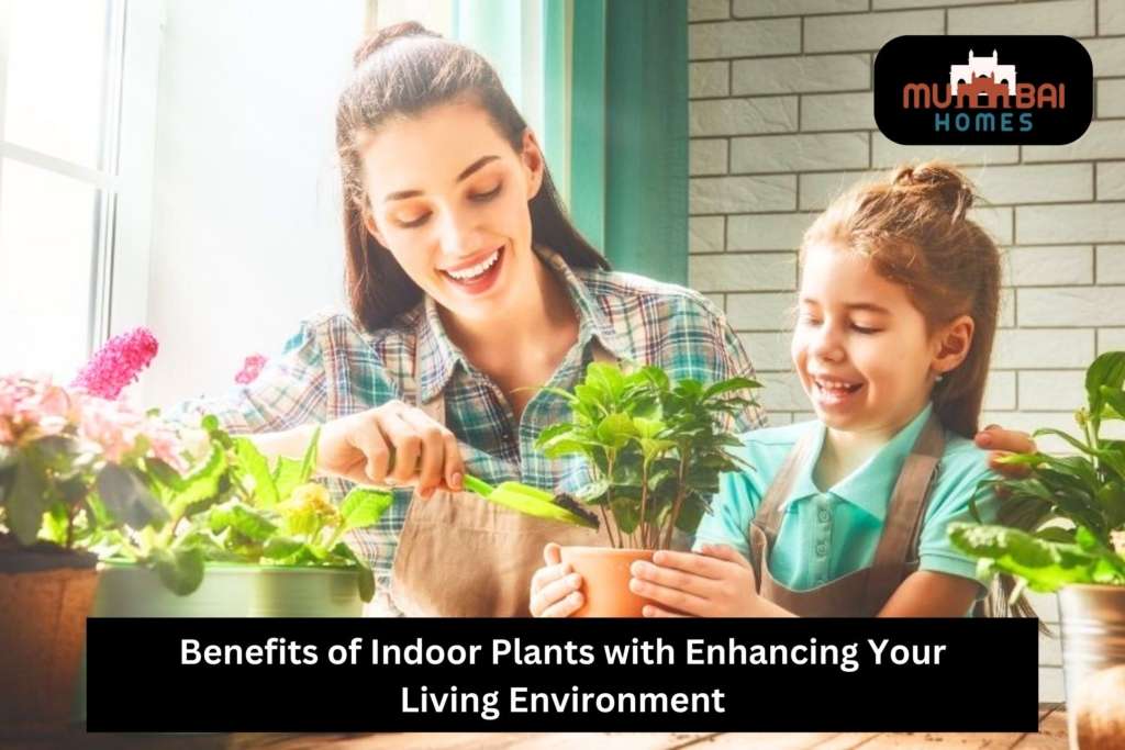 Benefits of Indoor Plants with Enhancing Your Living Environment